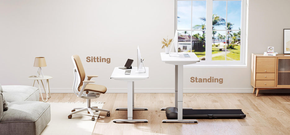 Standing Desk Height Adjustable – WalkingPad